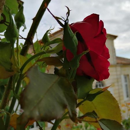 Domaine Du Chauvet Sainte-Eulalie (Gironde) Exterior foto
