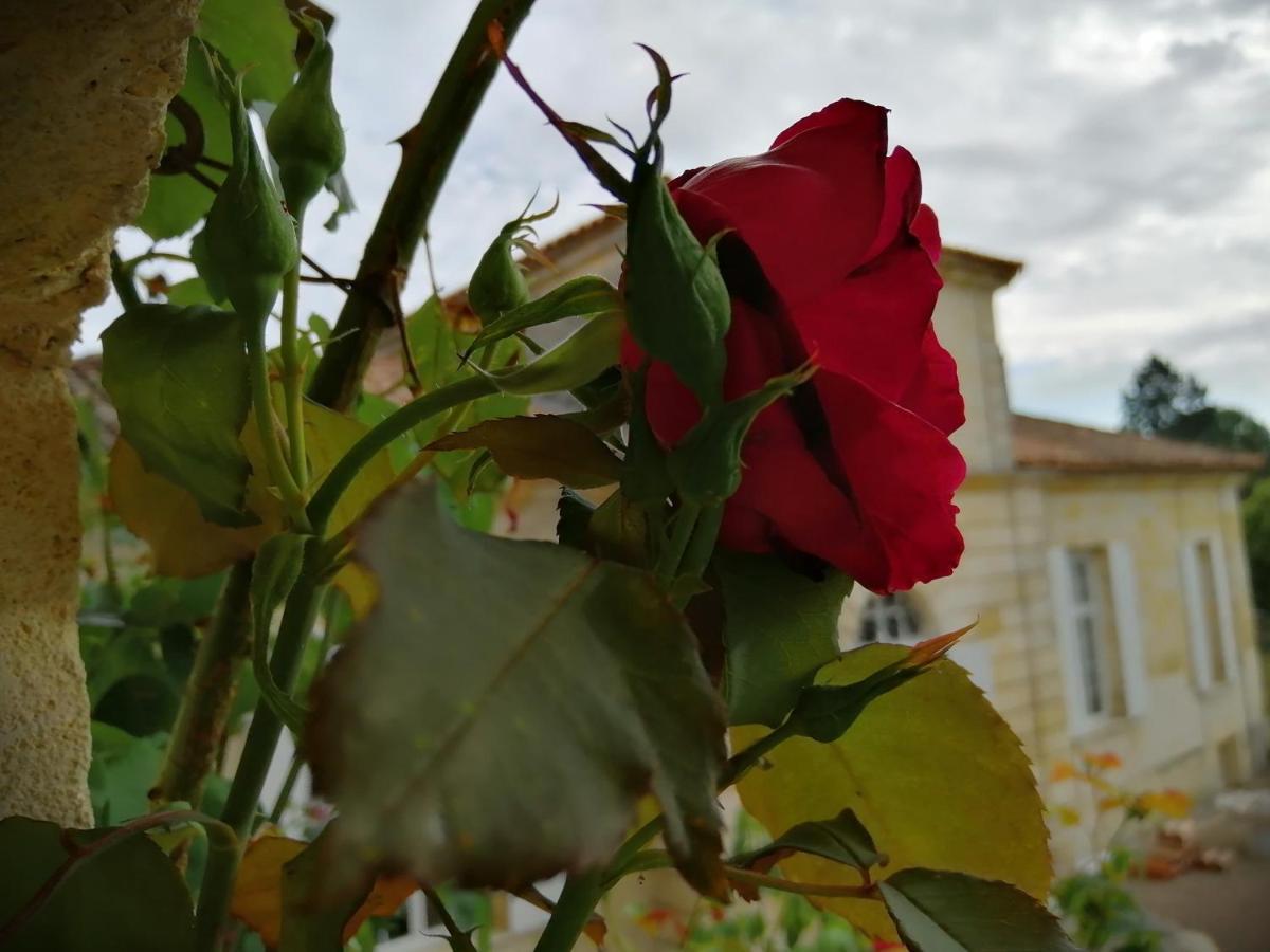 Domaine Du Chauvet Sainte-Eulalie (Gironde) Exterior foto